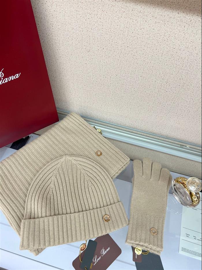 2026116112024246 100